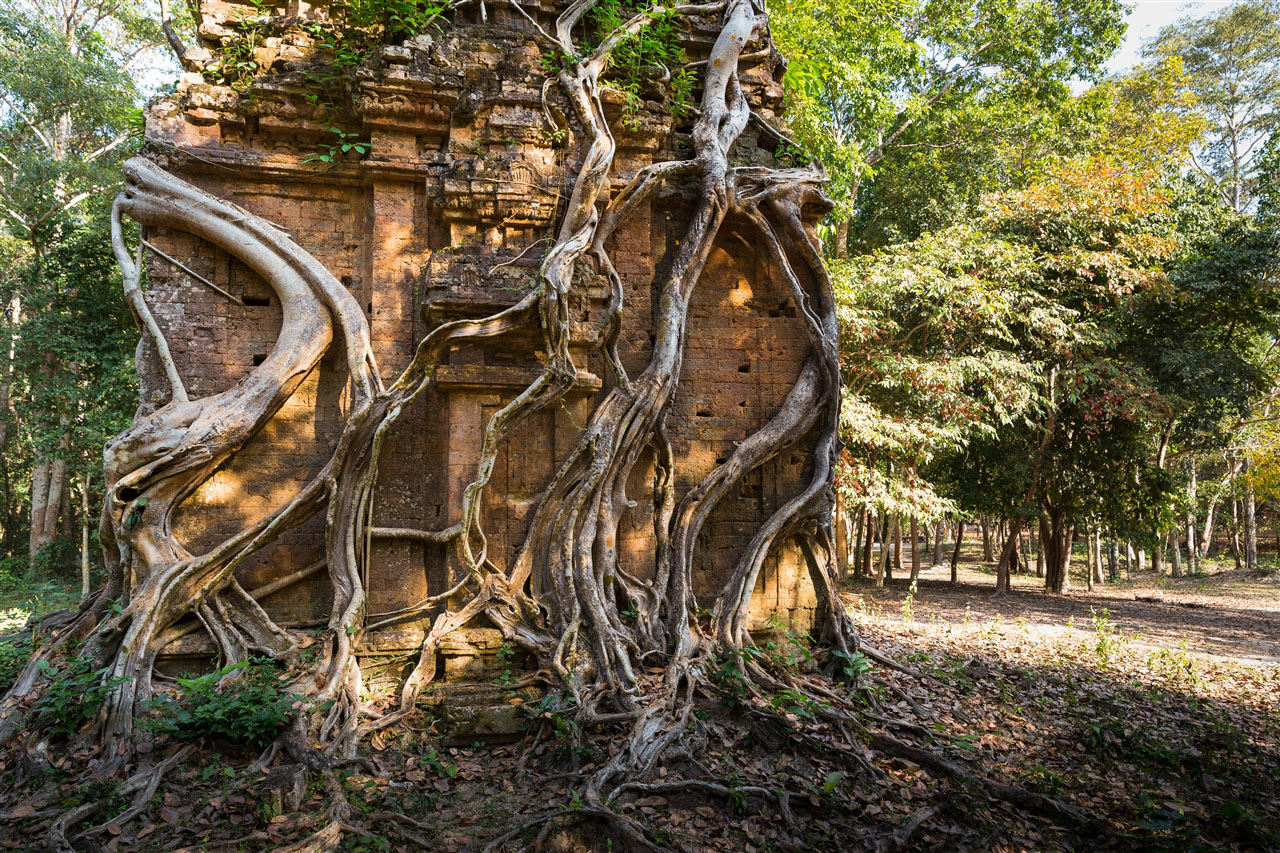 attraction-Sambor Prei Kuk Temple Kampong Thom 2.jpg